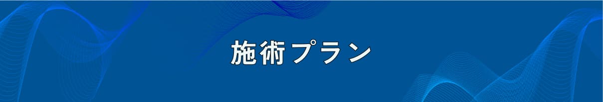 施術プラン